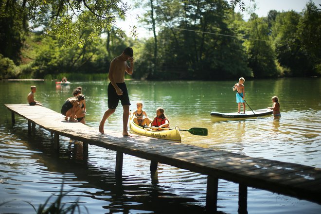 Stanje vodnih življenjskih okolij je med slabšimi. FOTO: Jure Eržen/Delo