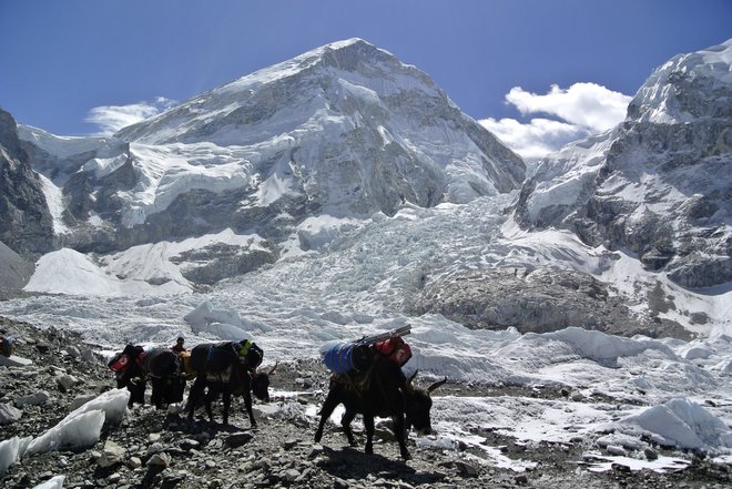 Plezalna sezona v Himalaji se bo končala naslednji teden. FOTO: Reuters