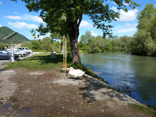 Na kopališču ob Sori v Goričanah je že nameščen kolesarski stebriček, urediti želijo tudi električno napeljavo. FOTO: Aleš Stergar/Delo