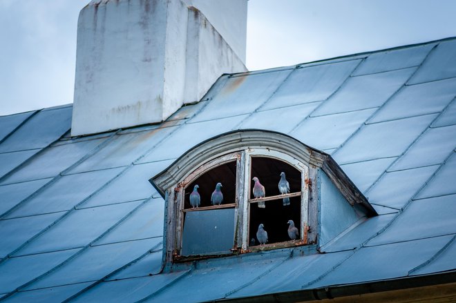 Za ideološkim in kulturnim bojem se skriva sebičnost vladajoče generacije. Foto Shutterstock