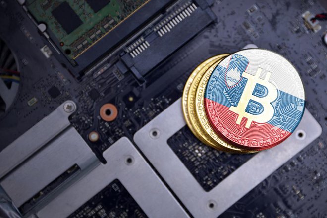 Slovenske delnice so se letos močno podražile, a na srečo njihova vrednost ni tako volatilna kot bitcoin. FOTO: Shutterstock