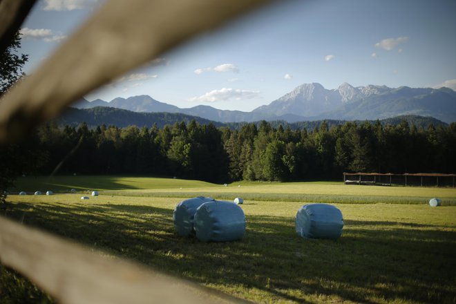 Skupna kmetijska politika predstavlja tretjino celotnega proračuna EU. V obdobju 2021&ndash;2027 je zanjo predvidenih skoraj 390 milijard evrov. FOTO: Jure Eržen