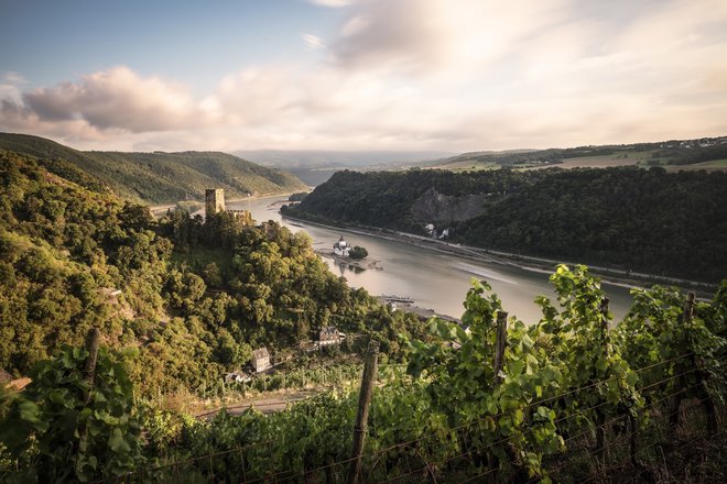 Zgornja srednja dolina Rena in grad Pfalzgrafenstein, Unescova kulturna dediščina. FOTO: Nemška turistična organizacija/Günther Bayerl