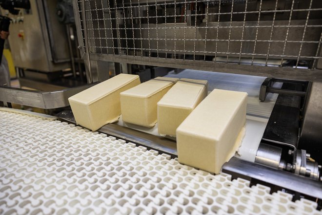 V Mlekarni Celeia dnevno proizvedejo do 15 ton sira. FOTO: Rok Deželak