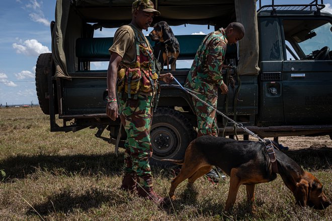 Rangersko moštvo v rezervatu Ol Pejeta, kjer prebivata zadnji dve severni beli nosoroginji. FOTO: Matjaž Krivic