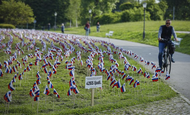 Zastavice, ki simbolizirajo žrtve koronavirusa po tem, ko so letala zveze Nato preletela Slovenijo in razglasila zmago nad koronavirusom. FOTO: Jože Suhadolnik / Delo