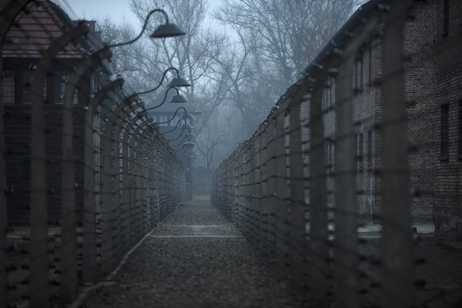 &raquo;Ko smo dosegli Auschwitz, smo zagledali ograjo in vse nemočne ljudi. Ograjo smo podrli s tanki, zapornikom pa dali hrano in zatem nadaljevali pot,&laquo; je Dushman opisal prihod Rdeče armade. FOTO: Pawel Ulatowski/Reuters