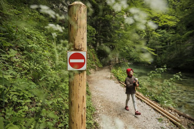 Ministrstvo za okolje in prostor je predlagalo omejitev števila obiskovalcev v Vintgarju na največ 2200 na dan. FOTO: Uroš Hočevar/Delo