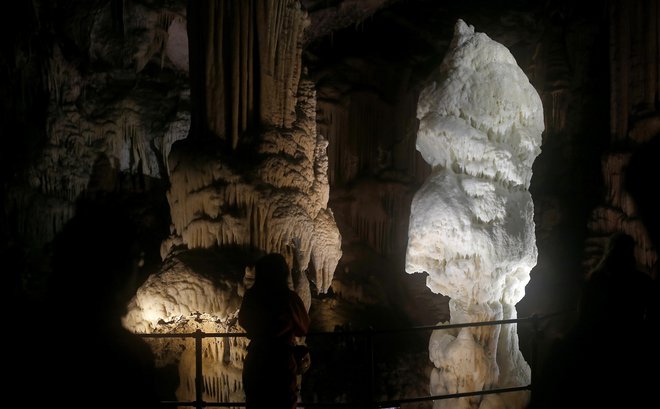 »Vrata odpiramo zagnani, a z odgovornostjo,« so navedli v družbi Postojnska jama. FOTO: Blaž Samec/Delo