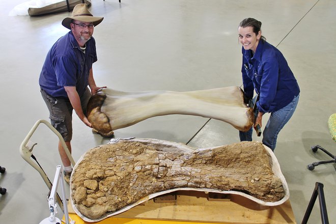 Paleontologa&nbsp;Scott Hocknull in Robyn Mackenzie ob 3D rekonstrukciji in fosilu kosti dinozavra vrste, poimenovane Australotitan cooperensis. FOTO: Naravoslovni muzej&nbsp;Eromanga via Reuters