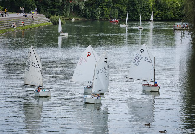 Na sobotni regati po Ljubljanici bo sodelovalo največ 64 optimistov. FOTO: Jože Suhadolnik/Delo