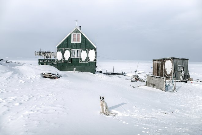 Naselje Saattut leži na manjšem otoku na zahodu Grenlandije. Na njem živi 250 ljudi, ki se preživljajo z lovom in ribolovom, in 500 vprežnih psov. FOTO: Ciril Jazbec