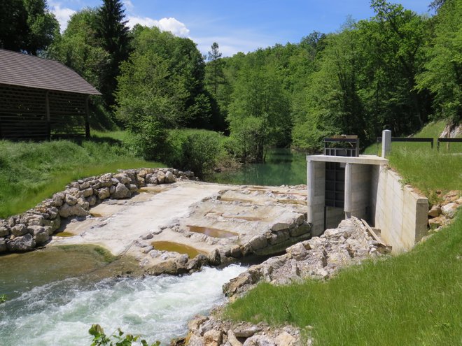 Jez male hidroelektrarne na Krki delno posega na sosednje zemljišče. FOTO: Bojan Rajšek/Delo