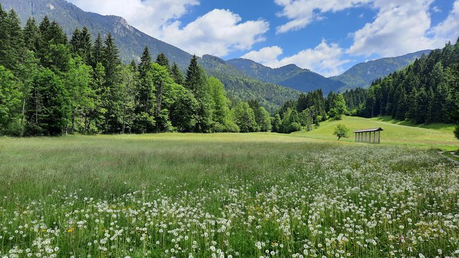 Sanjski pogled na pokrajino in Kamniško-Savinjske Alpe;&nbsp;celotno območje je zelo bogato z vodami. FOTO: Katja Cah