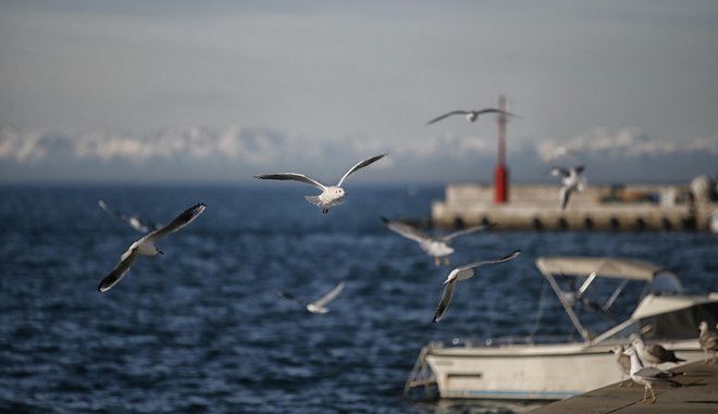 Začenja se vročinski val. FOTO: Blaž Samec/Delo