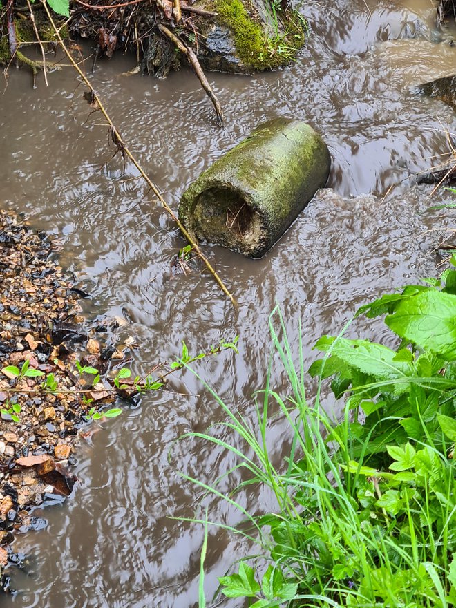 Deževje je nezakonito odloženo blato v Dramljah spralo v bližnji potok in uničilo ribji živelj. FOTO: JKP Šentjur