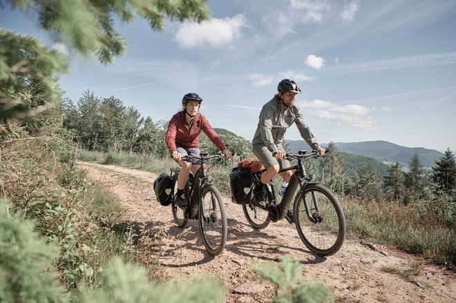 Delež električnih koles utegne letos v Sloveniji doseči 30 odstotkov.<br />
FOTO: www.giant-bicycles.com/si