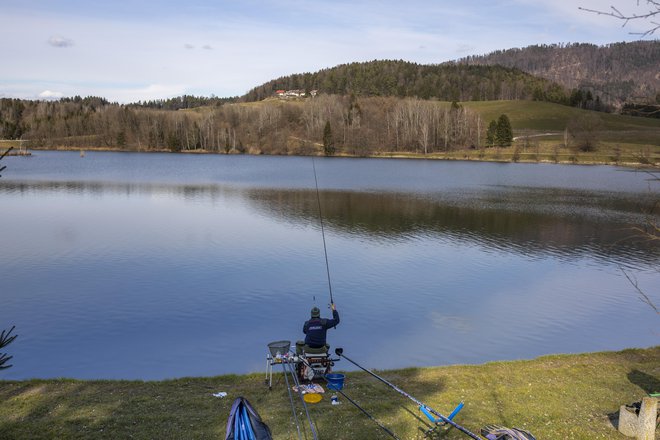 Ribiška zveza Slovenije, ki upravlja s skoraj 90 odstotki ribiških okolišev v Sloveniji, v 64 ribiških družinah združuje okoli 12.000 ljudi. FOTO: Voranc Vogel/Delo