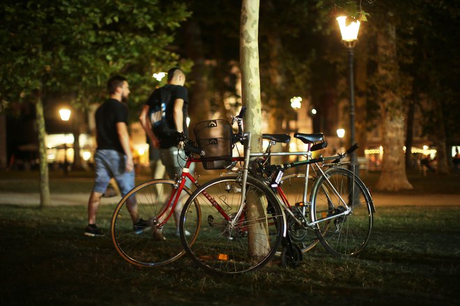 V hrvaški Istri je 23-letnik ukradel najmanj deset koles in jih prepeljal v Slovenijo. Fotografija je simbolična. FOTO: Jure Eržen/Delo