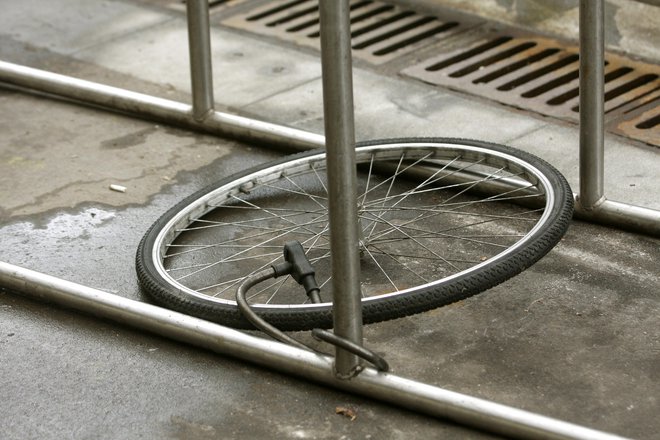 Tudi pri nas kraje koles niso redkost. FOTO:Mavric Pivk/Delo