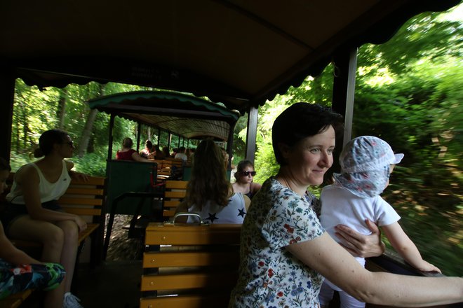 Zdaj se s to železnico vozijo v glavnem turisti, radovedneži in nostalgiki. Mamica na posnetku je hčerkici želela le pokazati, kakšna je vožnja z vlakom. FOTO: Jože Pojbič/Delo