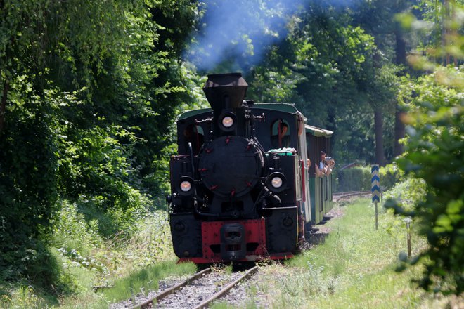 Ob redkih priložnostih vlakec vleče zgodovinska parna lokomotiva.<br />
FOTO: Jože Pojbič/Delo
