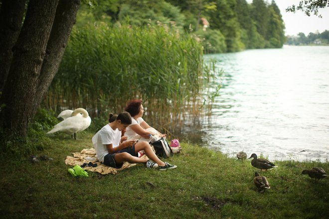 &raquo;Novela zakona o vodah odpira nekatere možnosti posegov na vodna in priobalna zemljišča, pušča pravne nedoslednosti in niža nivo odločanja o posegih v vodna in priobalna zemljišča. Menimo, da je to v časih, ko pritisk na prostor in okolje narašča, nesprejemljivo,&laquo; so zapisali v Svetu za varovanje okolja SAZU.&nbsp;FOTO: Jure Eržen/Delo