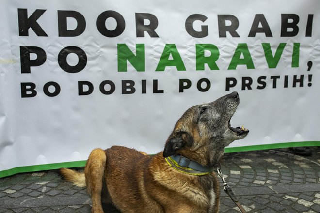 Proti vladnim potezam, ki ogrožajo varstvo narave, so naravovarstveniki protestirali že lansko leto. FOTO: Voranc Vogel/Delo