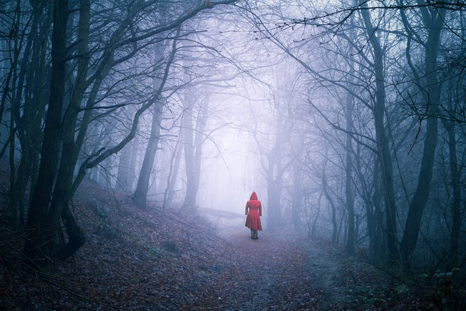 V parku Kodeljevo odkrijejo truplo trinajstletne deklice. FOTO: Shutterstock