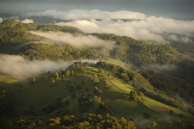 Gozdovi, ki prekrivajo približno dve tretjini državne površine, se nam zdijo danes samoumevni in večni del naše pokrajine. FOTO: Jure Eržen/Delo