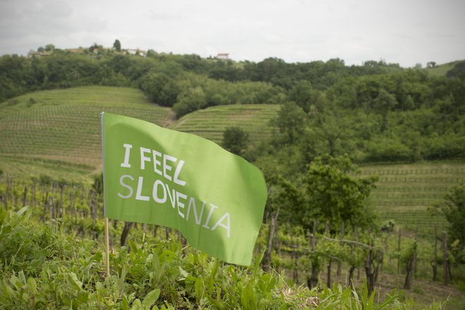 Zakaj ne bi podvojili finančnega vložka v inovacije, razvoj in raziskave tako, da bo enak češkemu, in prekopirali celovitr digitalizacijr javnega sektorja Estonije? FOTO: Jure Eržen/Delo