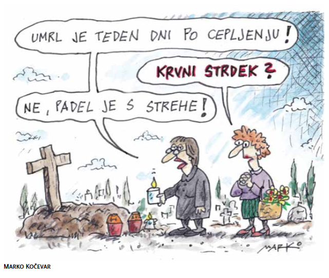 Brez teorije zarote. KARIKATURA: Marko Kočevar