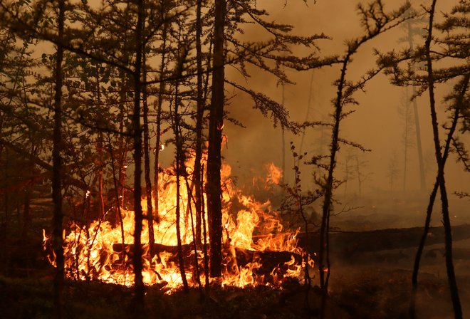 Požari tajgo zajamejo vsako leto, vendar so zadnja tri leta zaradi neobičajno visokih temperatur bolj intenzivni. FOTO: Roman Kutukov/Reuters