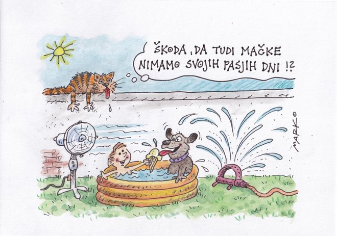 Karikatura Marko Kočevar