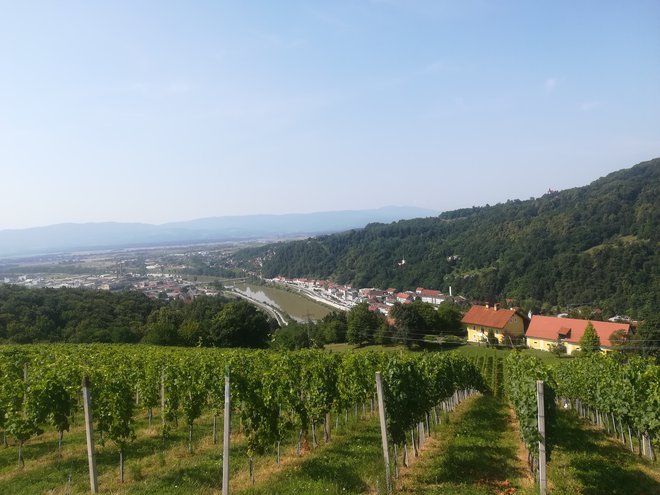 Razgled s posesti Tri lučke je kot nekakšen povzetek značilnosti Posavja. FOTO: Simona Bandur/Delo