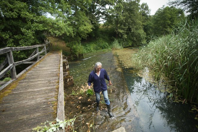 Čista voda bi morala prinašati koristi vsem Evropejcem. FOTO: Jure Eržen/Delo