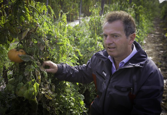 Prodamo vse, kar pridelamo, trdi Zvone Černelič z biodinamične kmetije Černelič iz Dečnega sela v brežiški občini. FOTO: Jože Suhadolnik/Delo