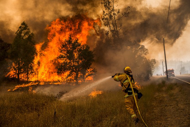 Takole so se gasilci proti ognju borili leta 2015 samo 180 kilometrov severno od San Francisca. FOTO: Max Whittaker/ Reuters