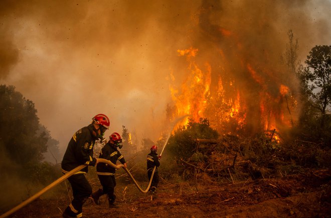 Srbski gasilci z vodno cevjo gasijo goreči požar v gozdnem požaru v vasi Glatsona na Evii. FOTO: Angelos Tzortzinis/AFP