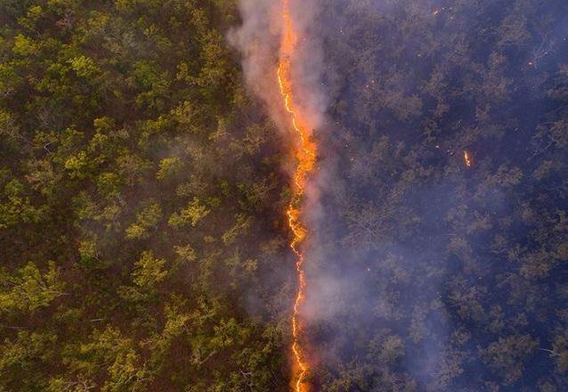 Na kilometre ognjenih zubljev golta Sibirijo. Fotografija je simbolična. FOTO: Instagram