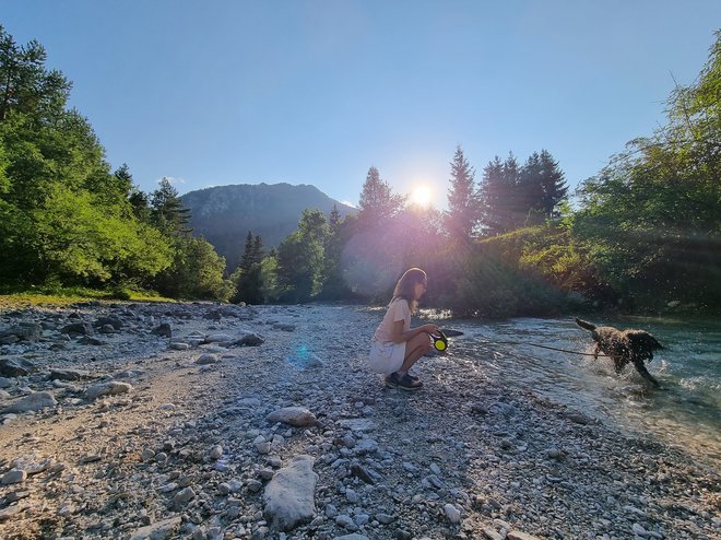 &raquo;Tudi naš je nor na vodo,&laquo; večkrat rečejo lastniki psov, s katerimi se znajdemo ob jezeru ali reki. Mhm, le da vaš pes ni nor, si mislim. FOTO: Boštjan Videmšek