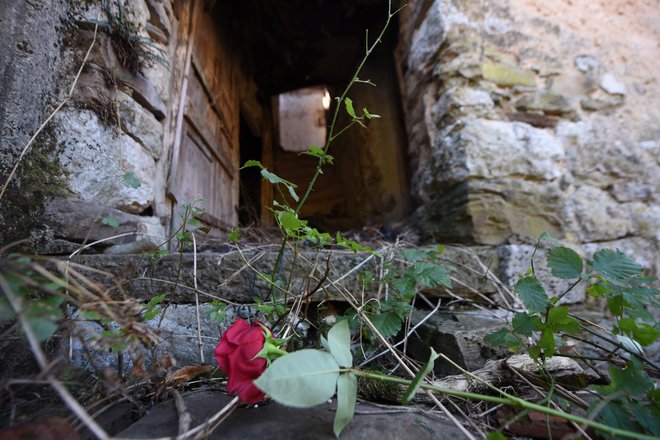 &nbsp;Mednarodno sodišče za vojne zločine, storjene na ozemlju bivše Jugoslavije, je leta 1998 zahtevalo izročitev Naletilića in Martinovića. FOTO: Denis Lovrovic/AFP