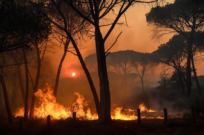 Goreči prizori blizu Gonfarona v departmanu Var. FOTO: Nicolas Tucat/AFP