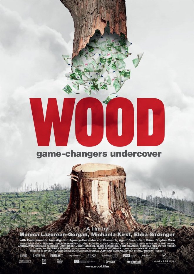 Film <em>Wood, Game-Changers Undercover</em> govori o mafiji, ki krči gozdove tudi čisto blizu nas. Foto Magnetfilm.de