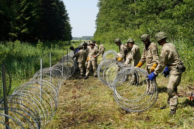 Pripadniki litvanijske vojske postavljajo ograjo na meji z Belorusijo (fotografirano julija). FOTO:&nbsp;Janis Laizans/Reuters