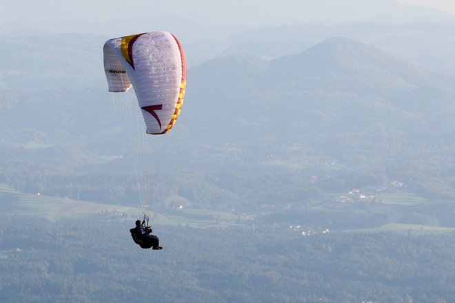 Padalca sta stmoglavila (simbolna fotografija). FOTO: Marko Feist/Slovenske novice