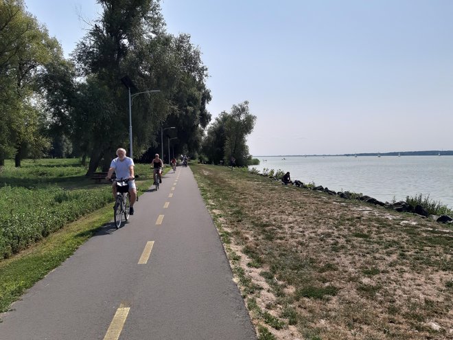 Zadnja leta je Blatno jezero pravi hit tudi zaradi urejenih kolesarskih poti. FOTO: Mitja Felc/Delo