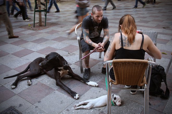 FOTO: Jure Eržen/Delo