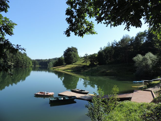 Jezero Mola je umetno jezero na potoku Molja v bližini brkinskih naselij Harije in Soze pri Ilirski Bistrici. Nastalo je leta 1979 z zajezitvijo potoka, ob kateri je bilo potopljenih nekaj hiš vključno z mlinom. Bogato je s ščukami, krapi in postrvmi. FOTO: dokumentacija Dela
