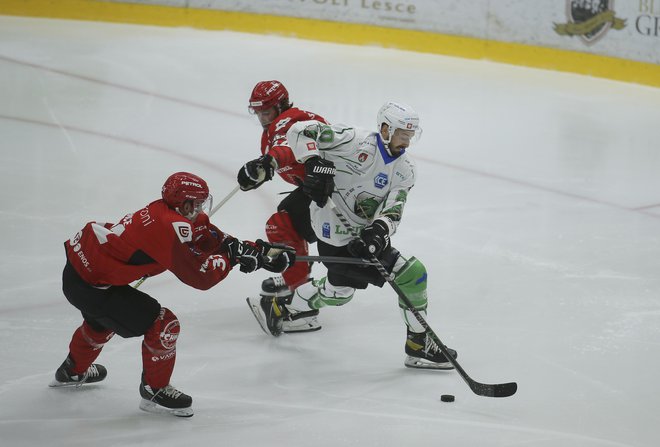 V tej sezoni bo SŽ Olimpija igrala v ICEHL, SIJ Acroni Jesenice pa bodo nadaljevale v alpski ligi. FOTO: Jože Suhadolnik/Delo